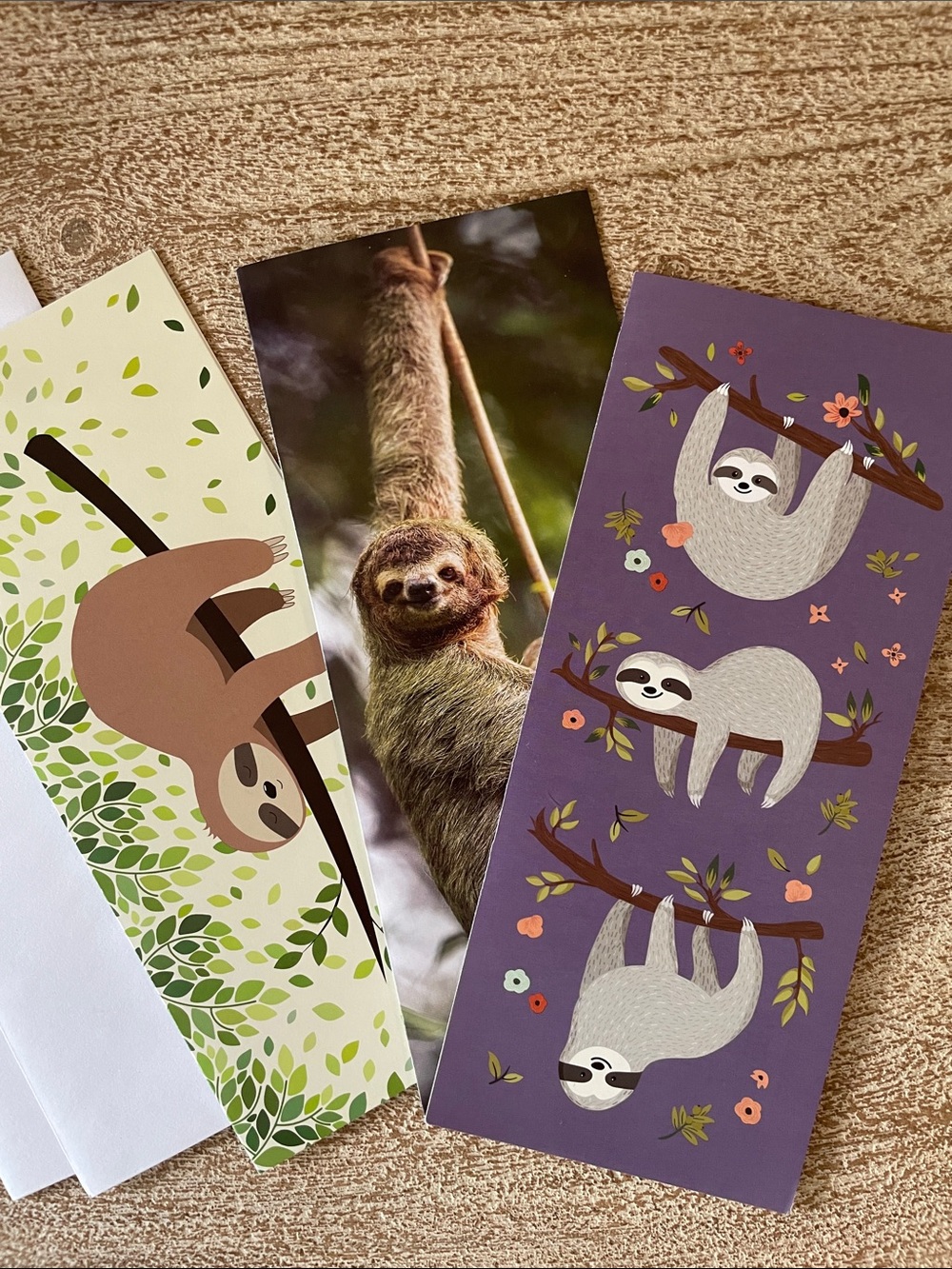 Trio of sloth cards